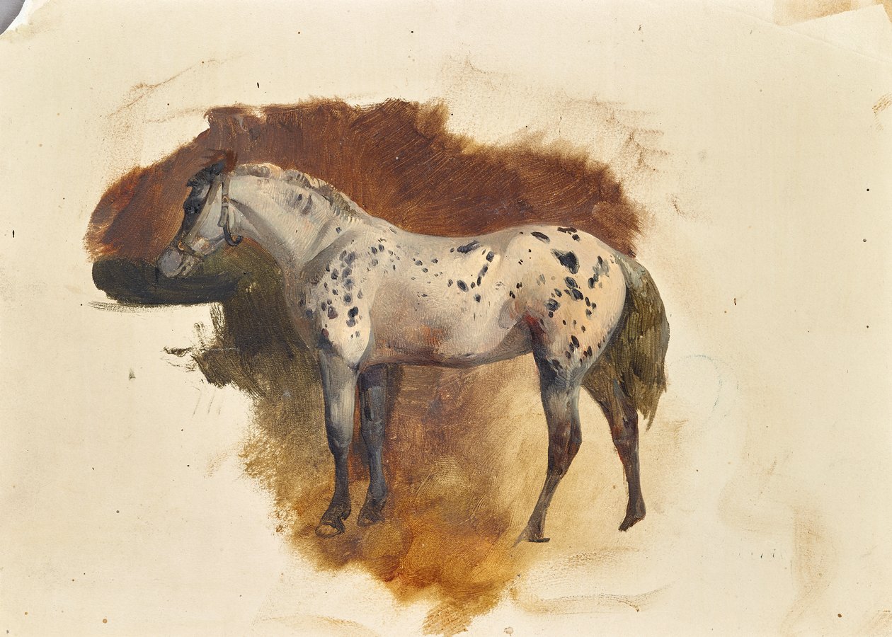Gefleckter Schimmel von Friedrich August Mathias Gauermann