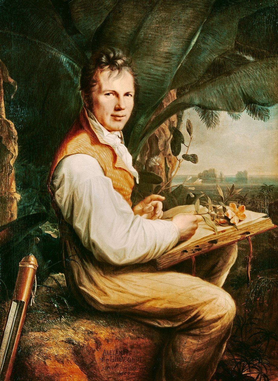 Alexander von Humboldt von Friedrich Georg Weitsch