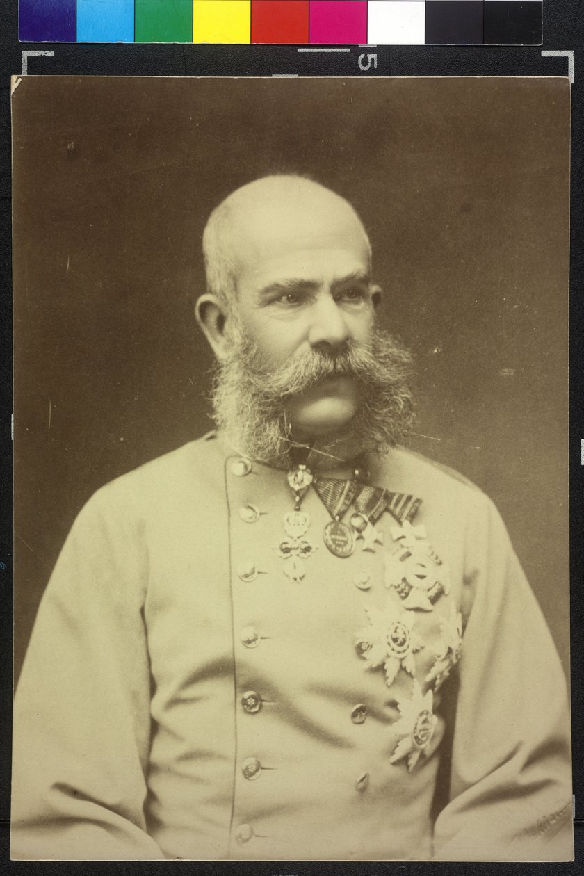 Franz Joseph I. von Fritz Luckhardt