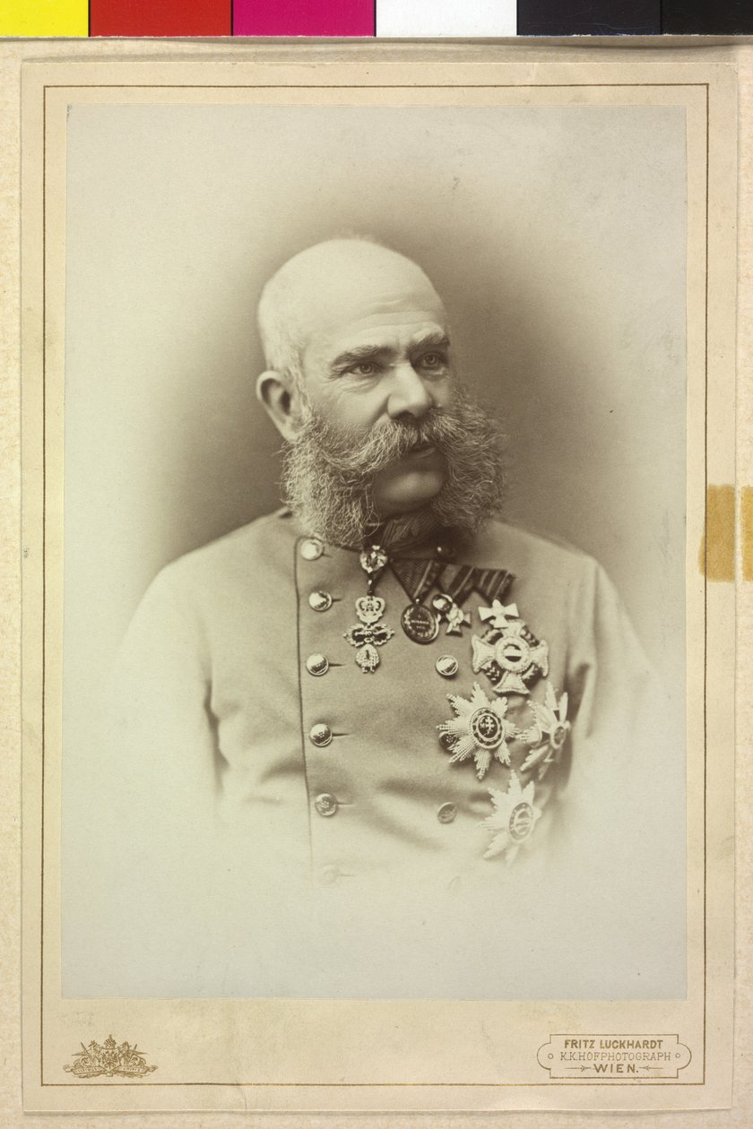 Franz Joseph I. von Fritz Luckhardt