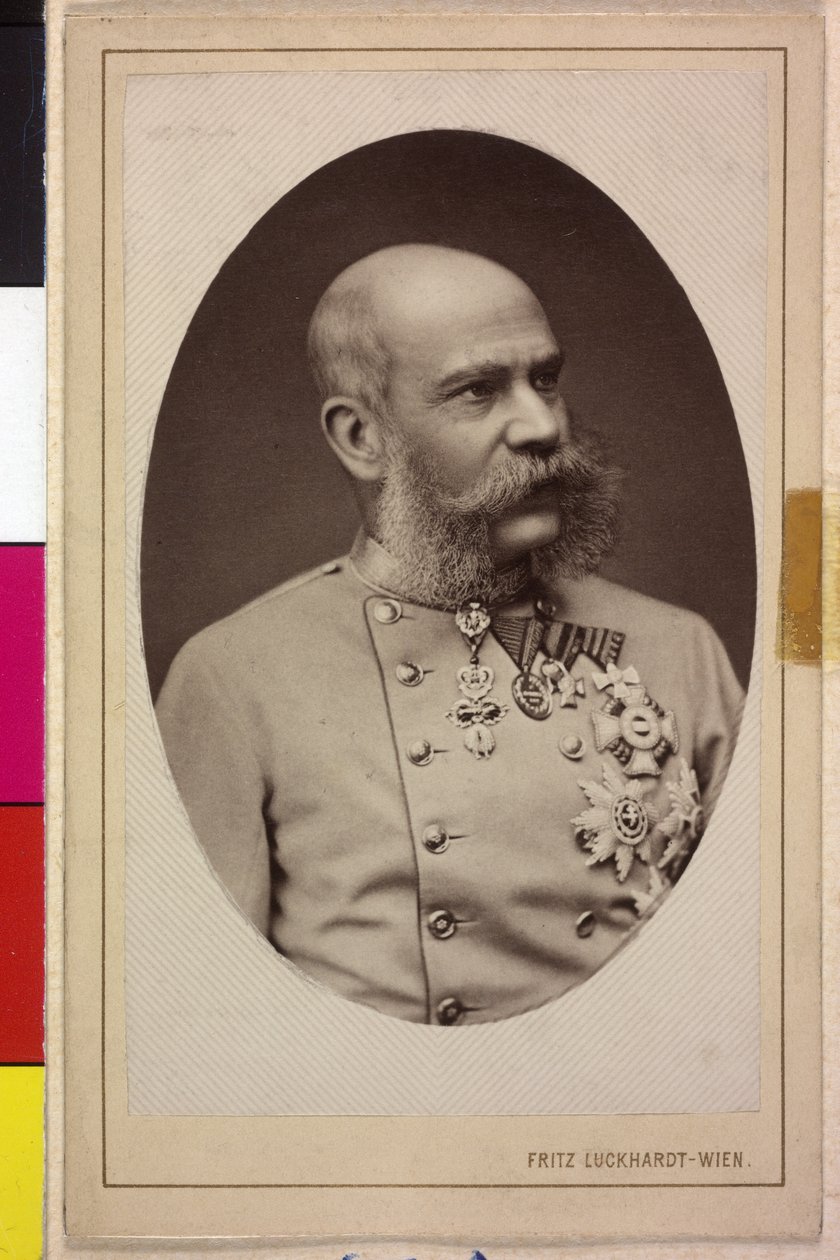 Franz Joseph I von Fritz Luckhardt
