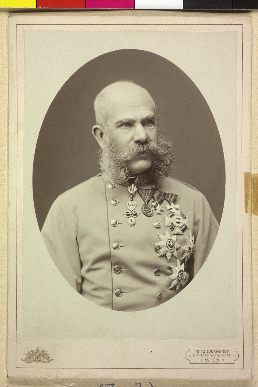 Franz Joseph I. von Fritz Luckhardt