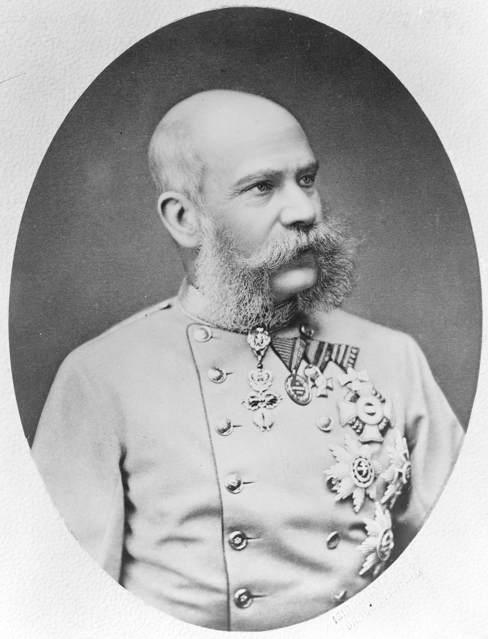 Franz Joseph I. von Fritz Luckhardt