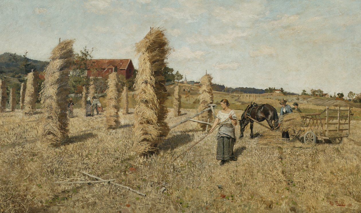 Das Feld bei Froen von Fritz Thaulow