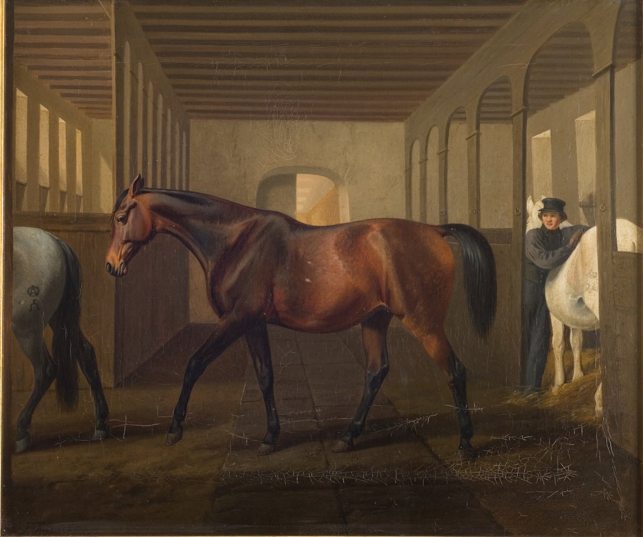 Rosetta von Fritz Thomsen