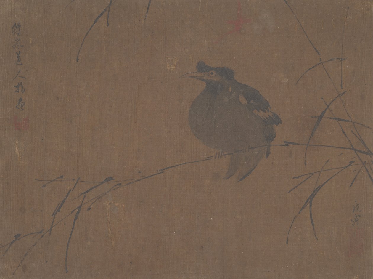 Mynah auf Schilf von Fulan Taorên.