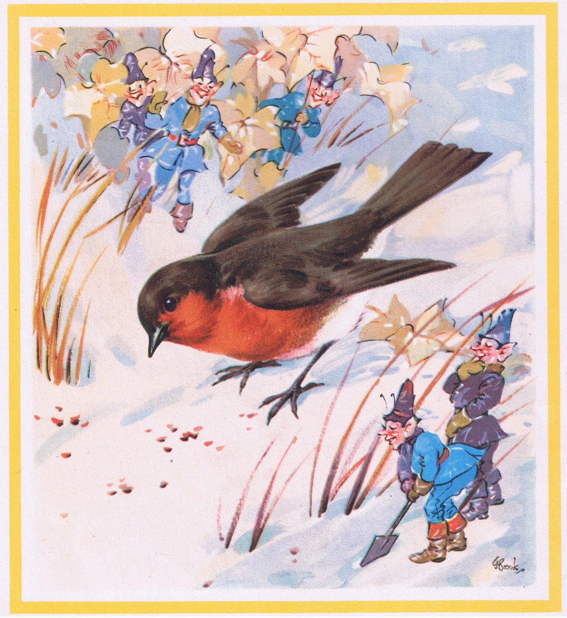 Rotkehlchen von G. Brooks
