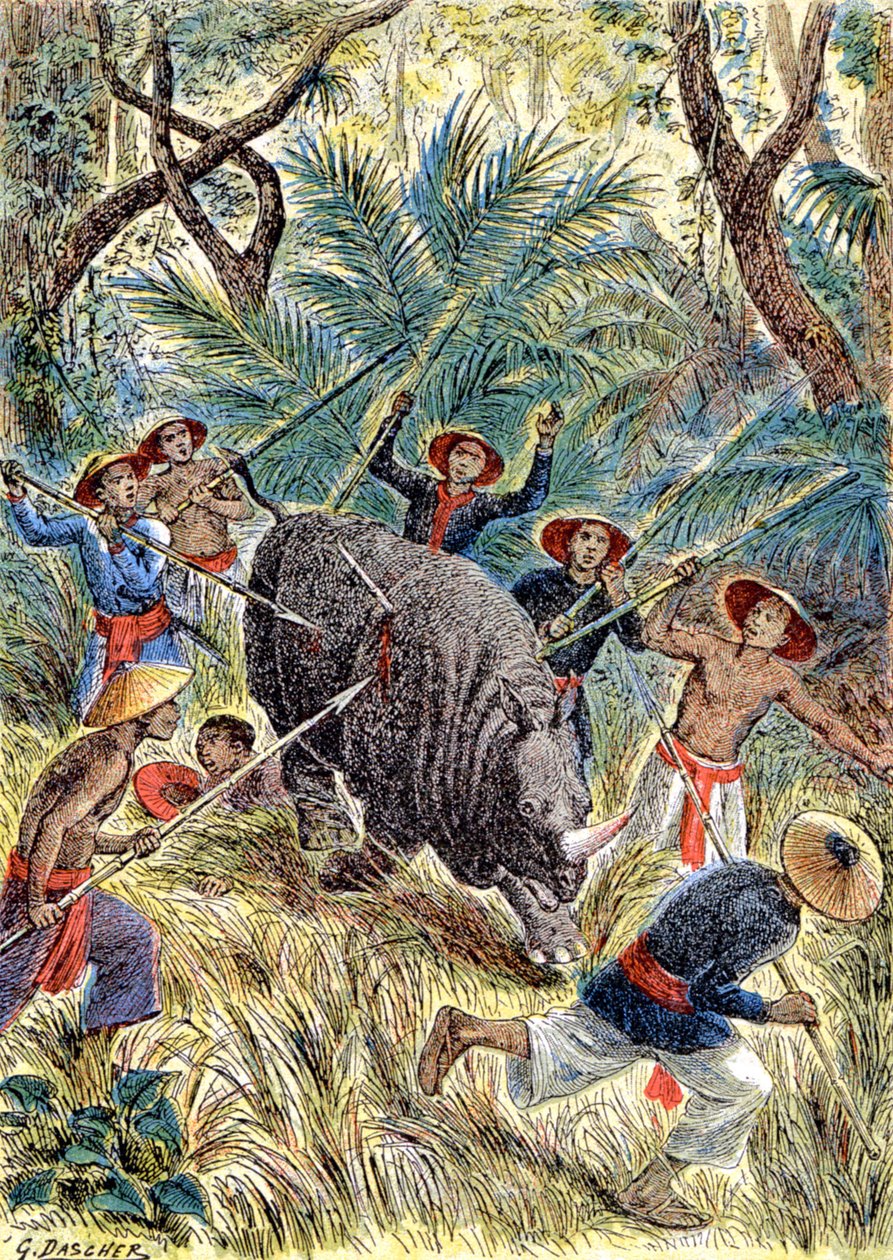 Nashornjagd, Französisch-Indochina von G. Dascher