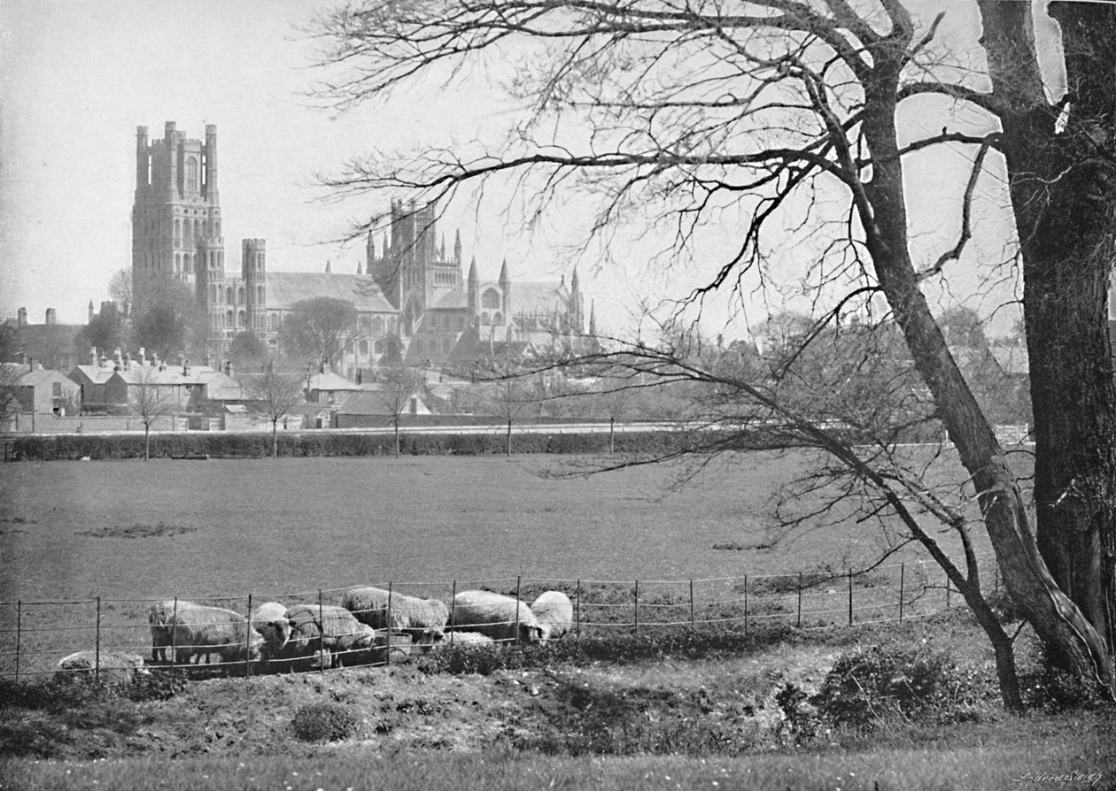 Ely-Kathedrale, ca. 1896 von G. W. Wilson and Company