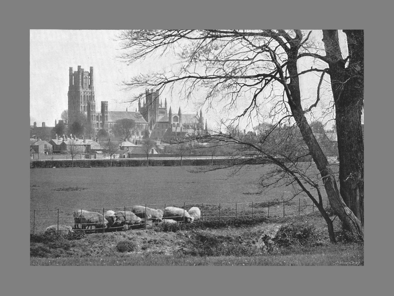 Ely-Kathedrale, ca. 1900 von G. W. Wilson and Company