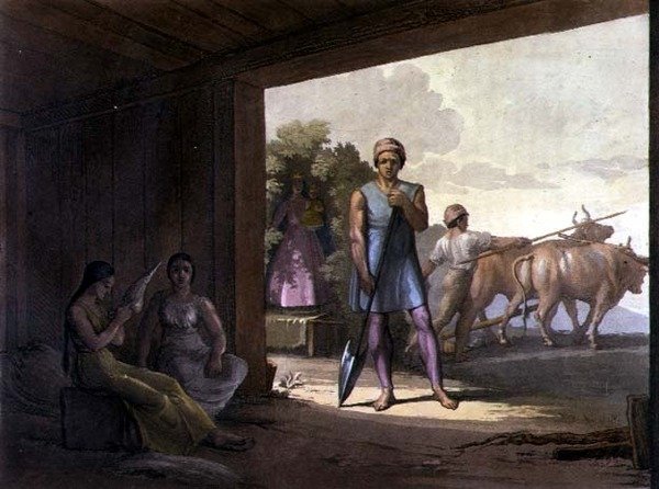 Indische Jesuiten von Gallo Gallina