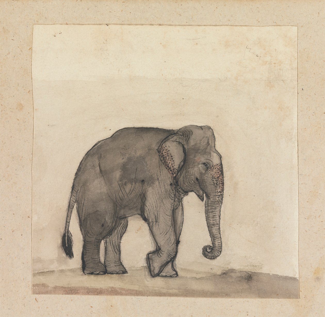 Elefant von Gangaram Chintaman Tambat