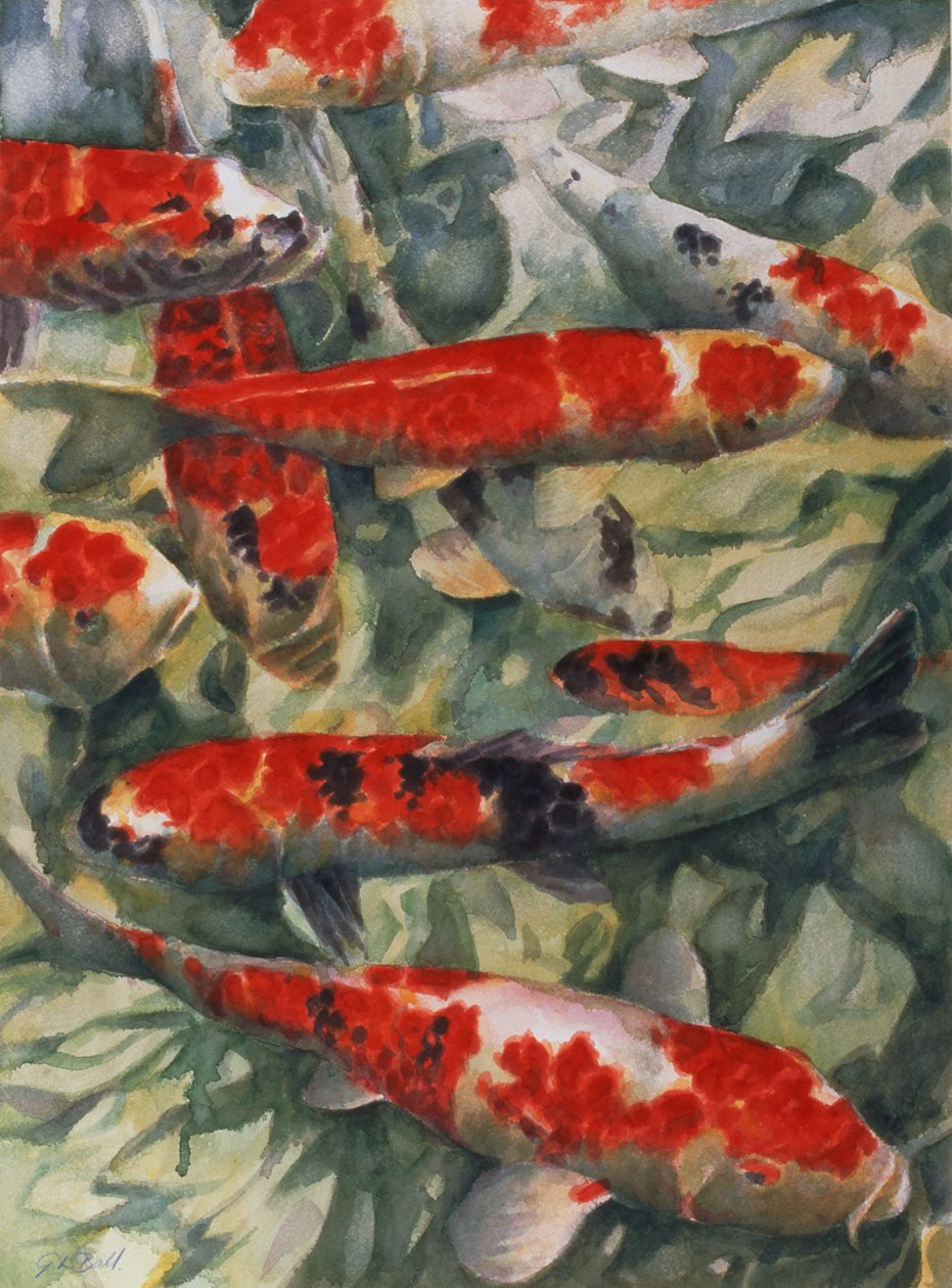 Koi-Karpfen von Gareth Lloyd Ball