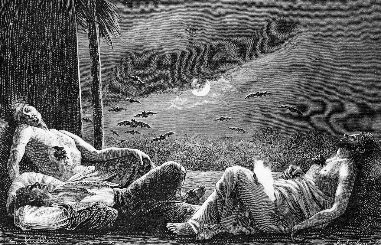 Vampirfledermäuse, die sich von schlafenden Menschen ernähren, ca. 1890 von Gaston Vuillier