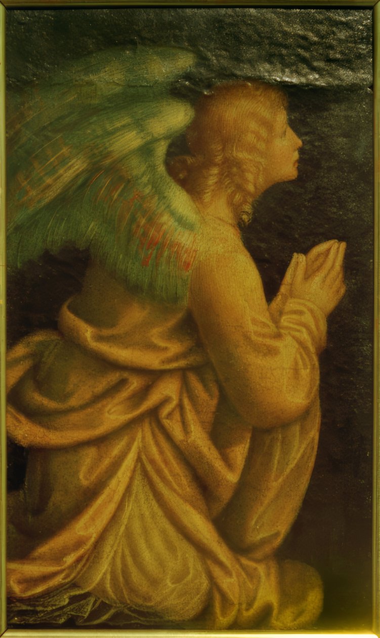 Anbetender Engel von Gaudenzio Ferrari