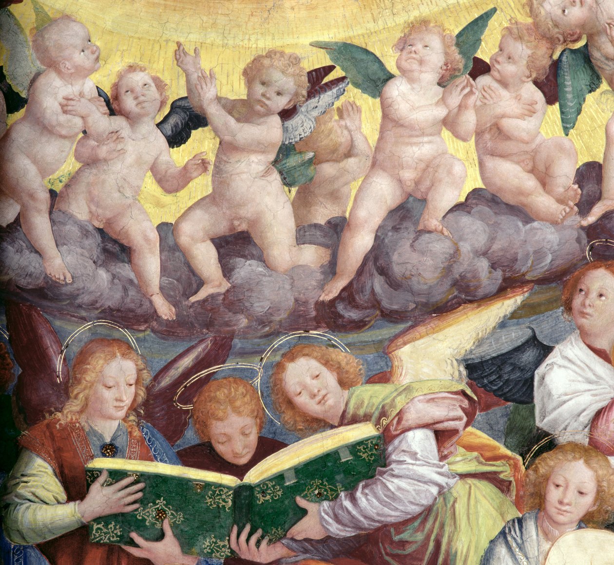 Das Konzert der Engel, 1534-36 (Detail) von Gaudenzio Ferrari