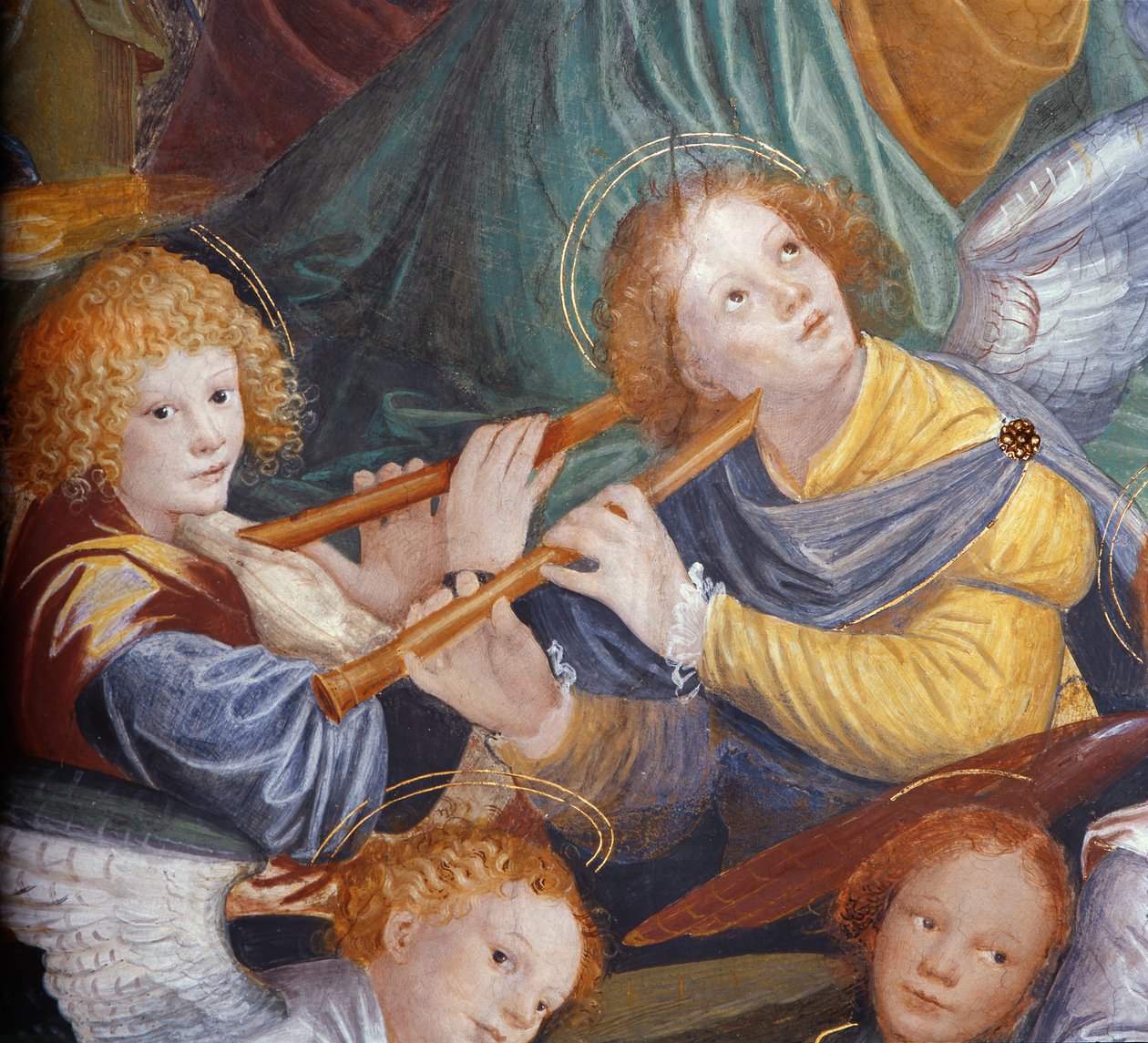 Das Konzert der Engel, 1534-36 (Detail) von Gaudenzio Ferrari