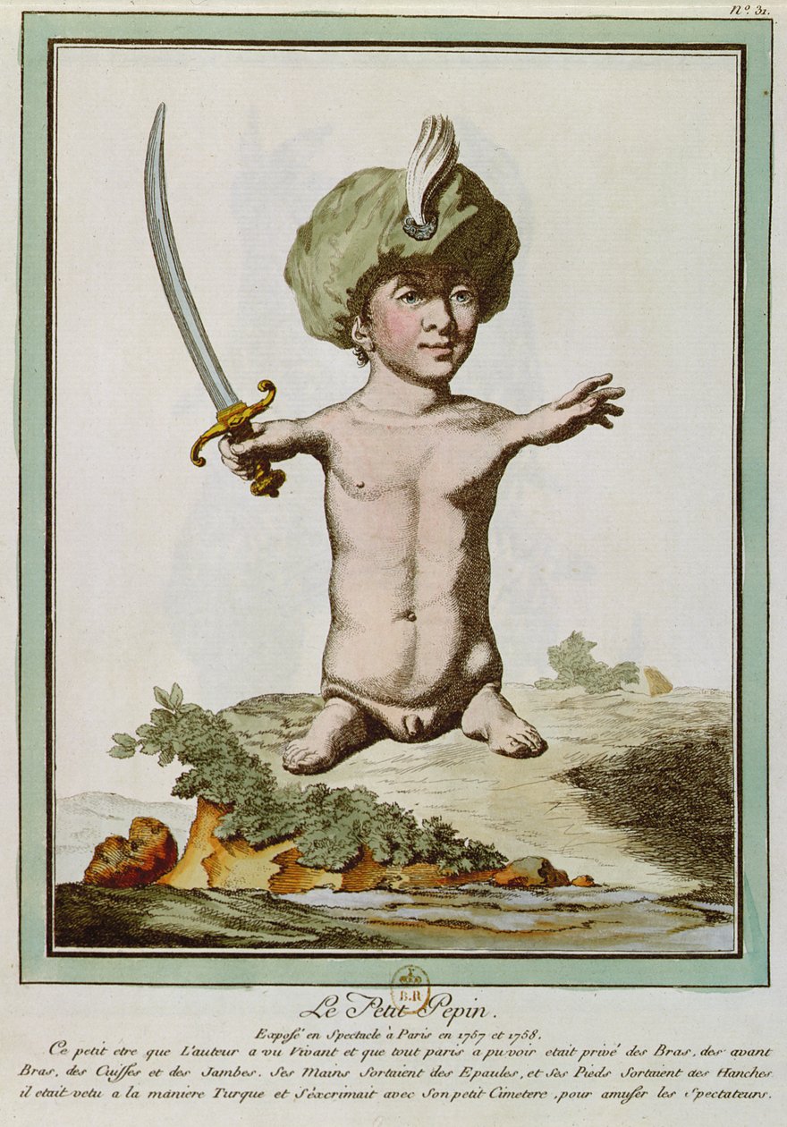 Petit Pepin, aus 