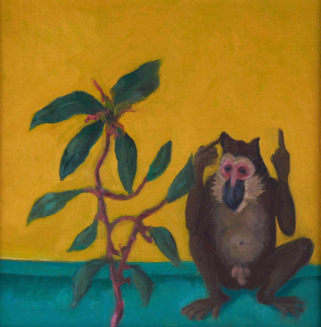 Affe sagt Nein, 2024 von Genevieve French