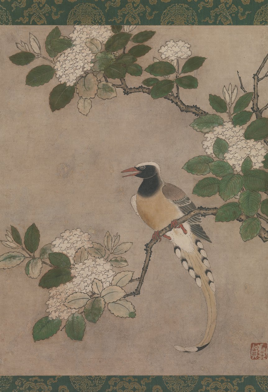 Elster auf einem Viburnum-Zweig, frühes 16. Jahrhundert von Genga