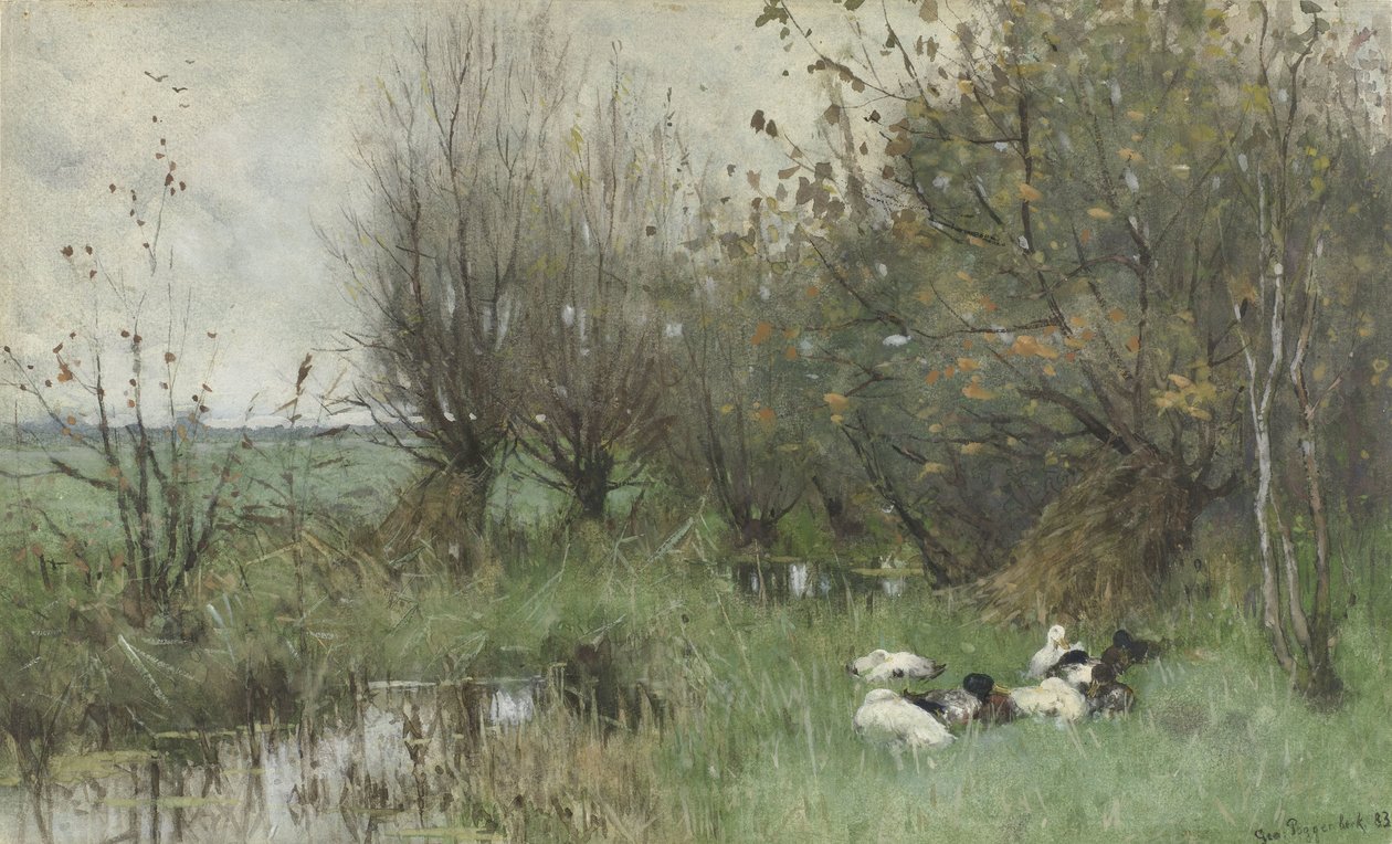 Enten bei einem Weidenwäldchen von Geo Poggenbeek