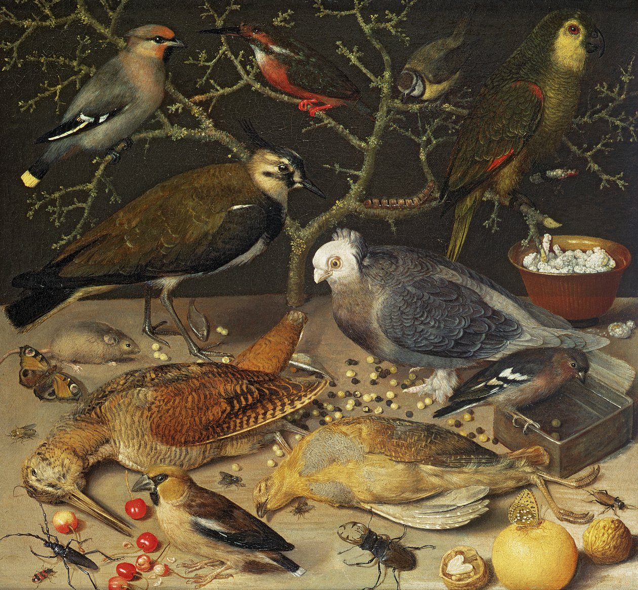 Stillleben mit Vögeln und Insekten, 1637 von Georg Flegel