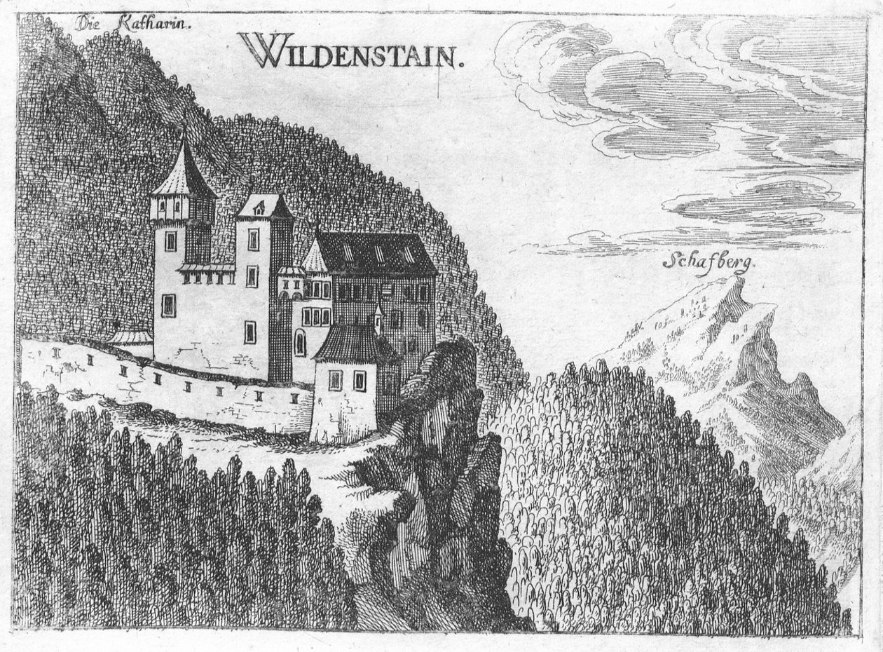 Gravur, Ansicht der Burg Wildenstein, Oberösterreich von Georg Matthaus Vischer