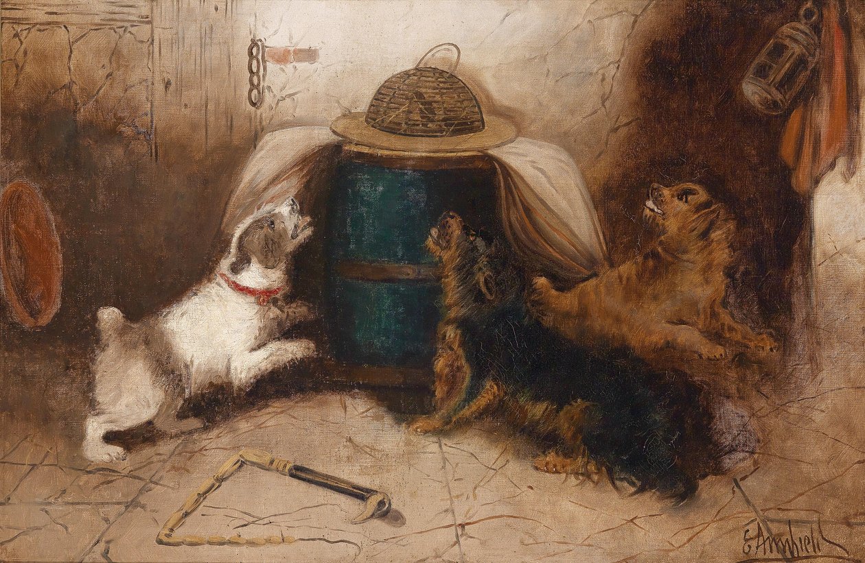 Drei Hunde bellen eine Maus an von George Armfield