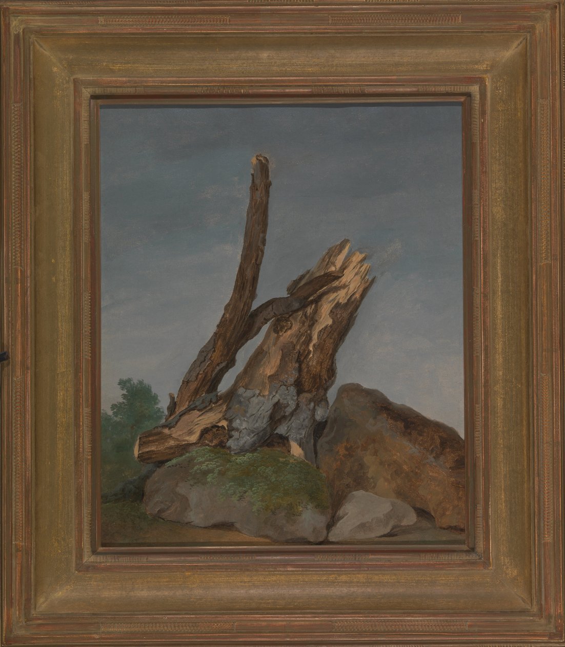 Studie von Felsen und Ästen von George Augustus Wallis