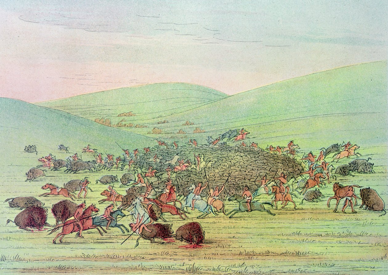 Minatarees greifen Büffel zu Pferd an von George Catlin