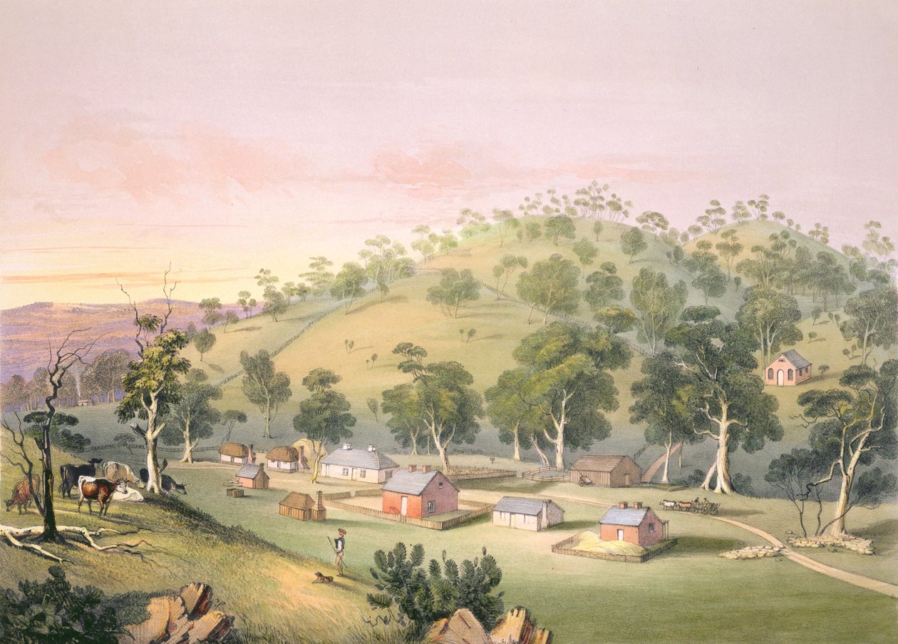 Abend in Angaston, Südaustralien, 1846 von George French Angas