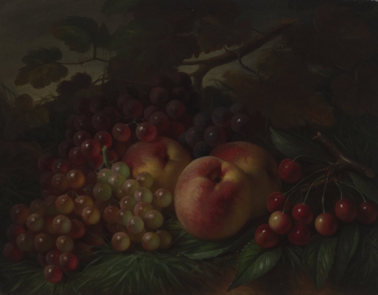Pfirsiche, Trauben und Kirschen von George Henry Hall