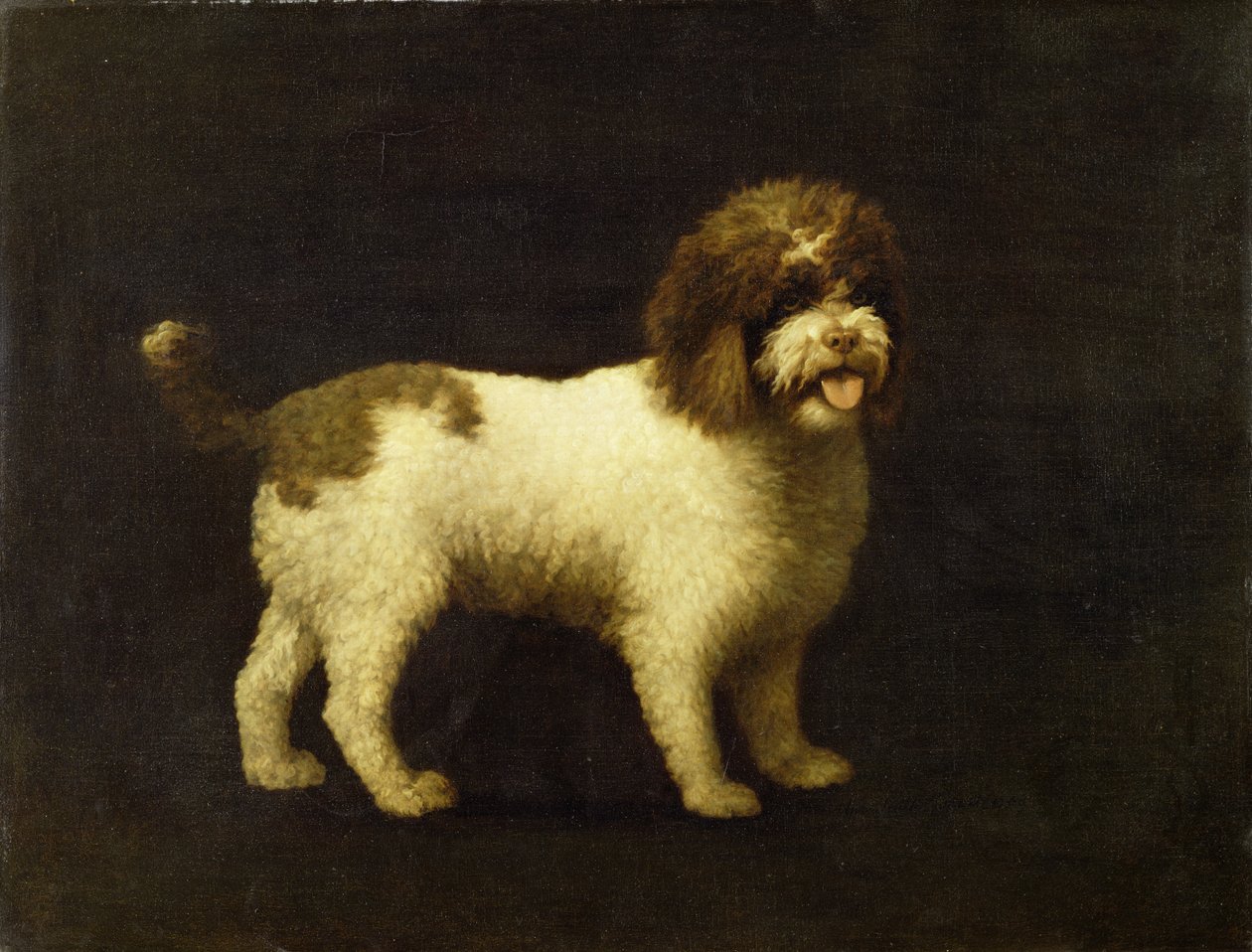 Ein Wasserspaniel, 1769 von George Stubbs
