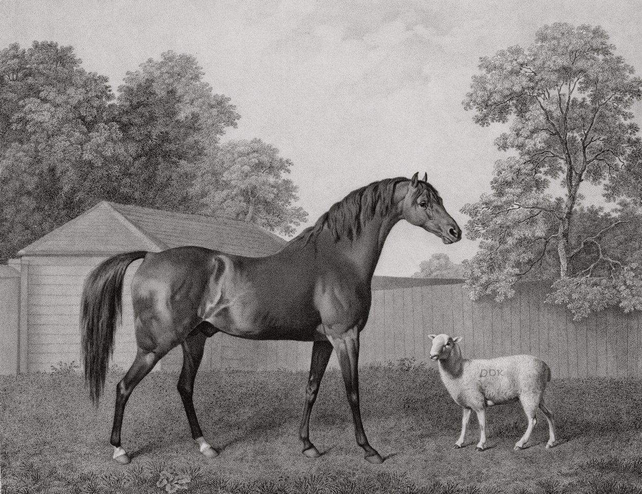 Dungannon, graviert von George Townley Stubbs (1756-1815), veröffentlicht 1794 von George Stubbs