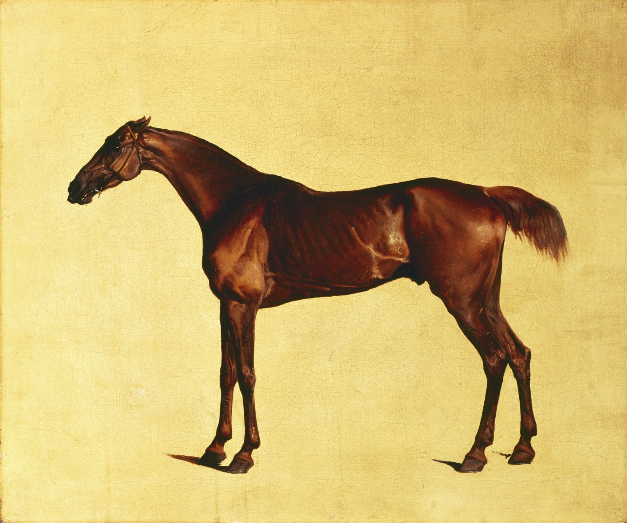Pangloss von George Stubbs
