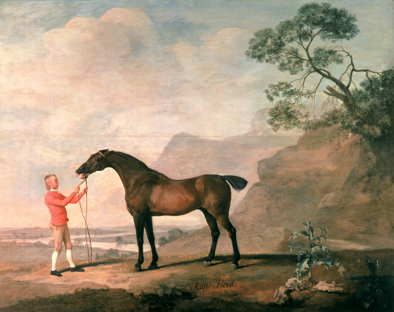 Flutkatastrophe von George Stubbs