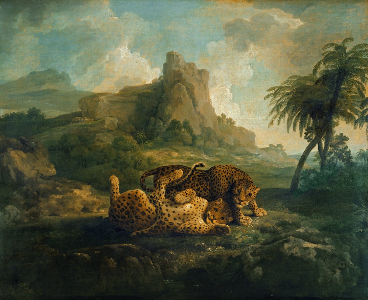 Tiger beim Spielen, ca. 1763-8 von George Stubbs