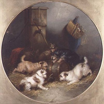 Terrier beim Rattenfangen in einer Scheune von George Armfield