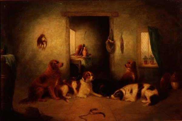 Die Küchendogs von George Armfield