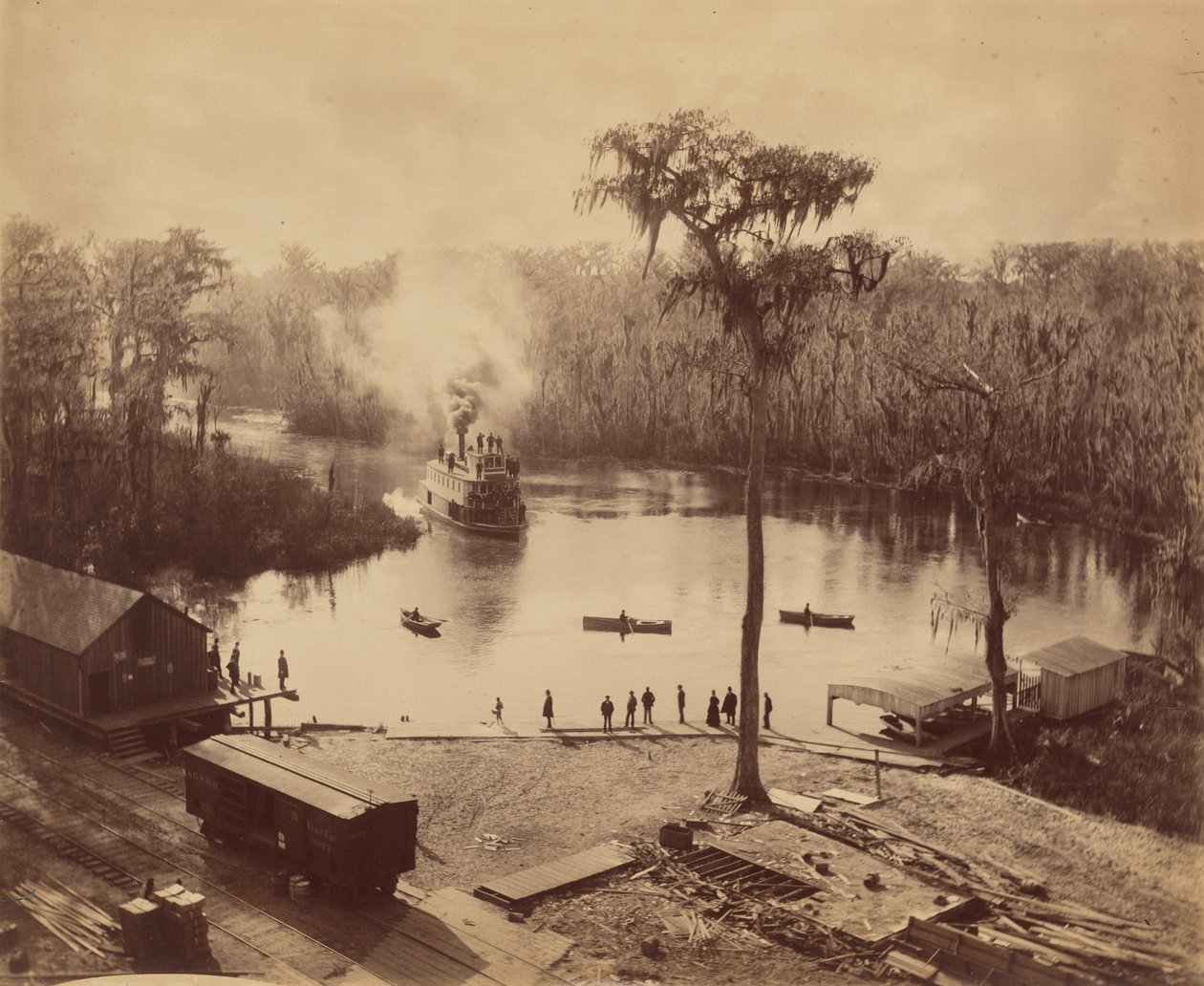 Silver Springs, Florida von George Barker