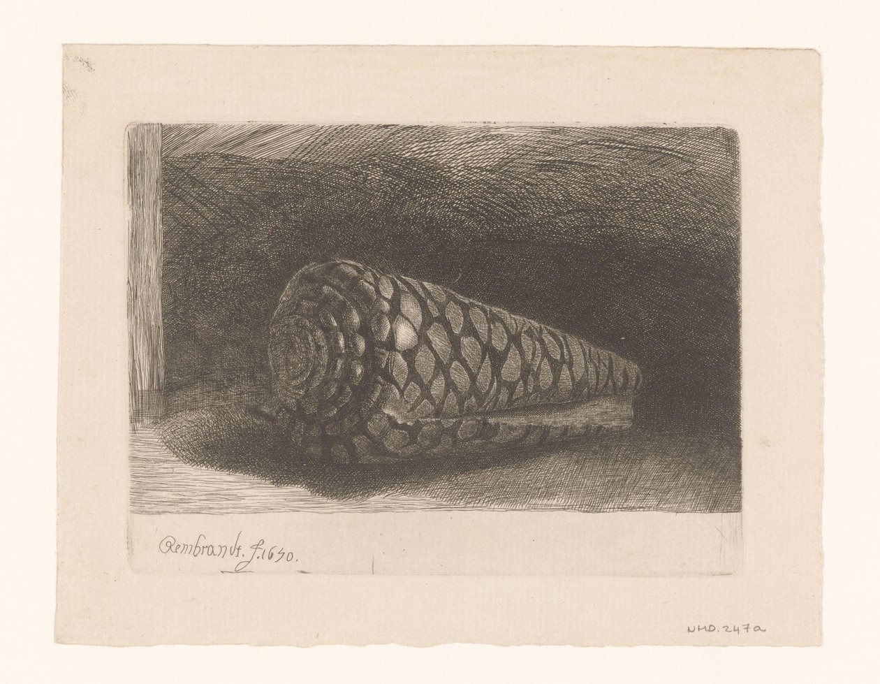 Die Muschel von George Bickham (II)