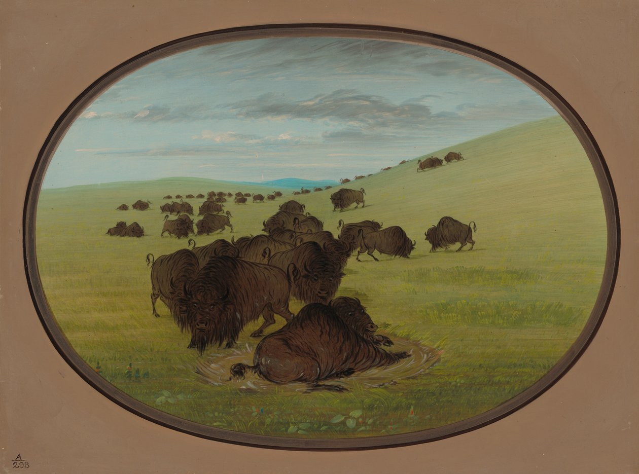 Eine Büffelwallow von George Catlin