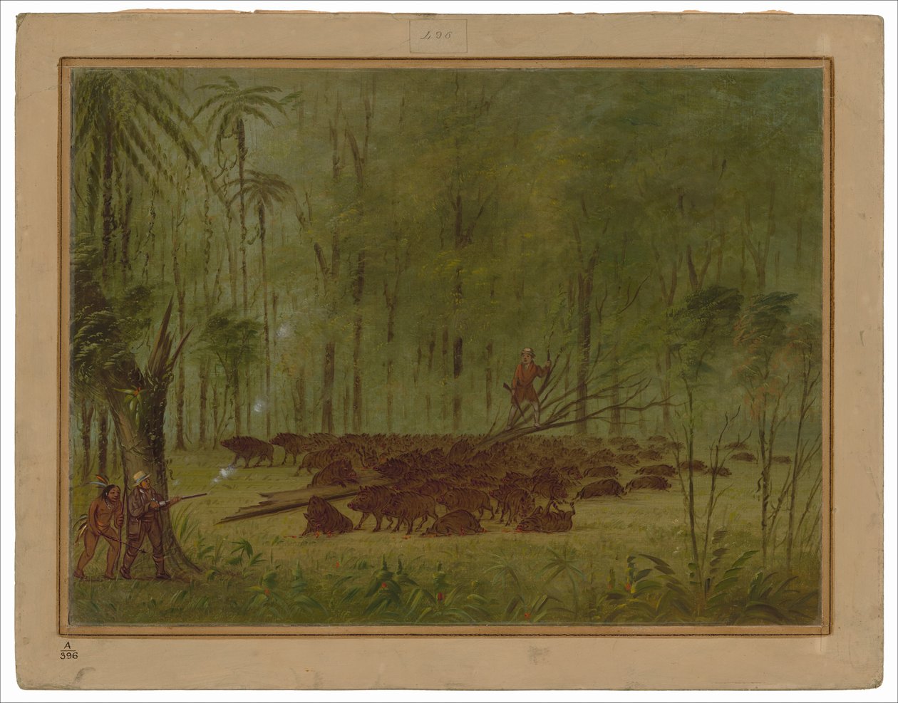 Ein Kampf mit Pekaris - Karibik von George Catlin