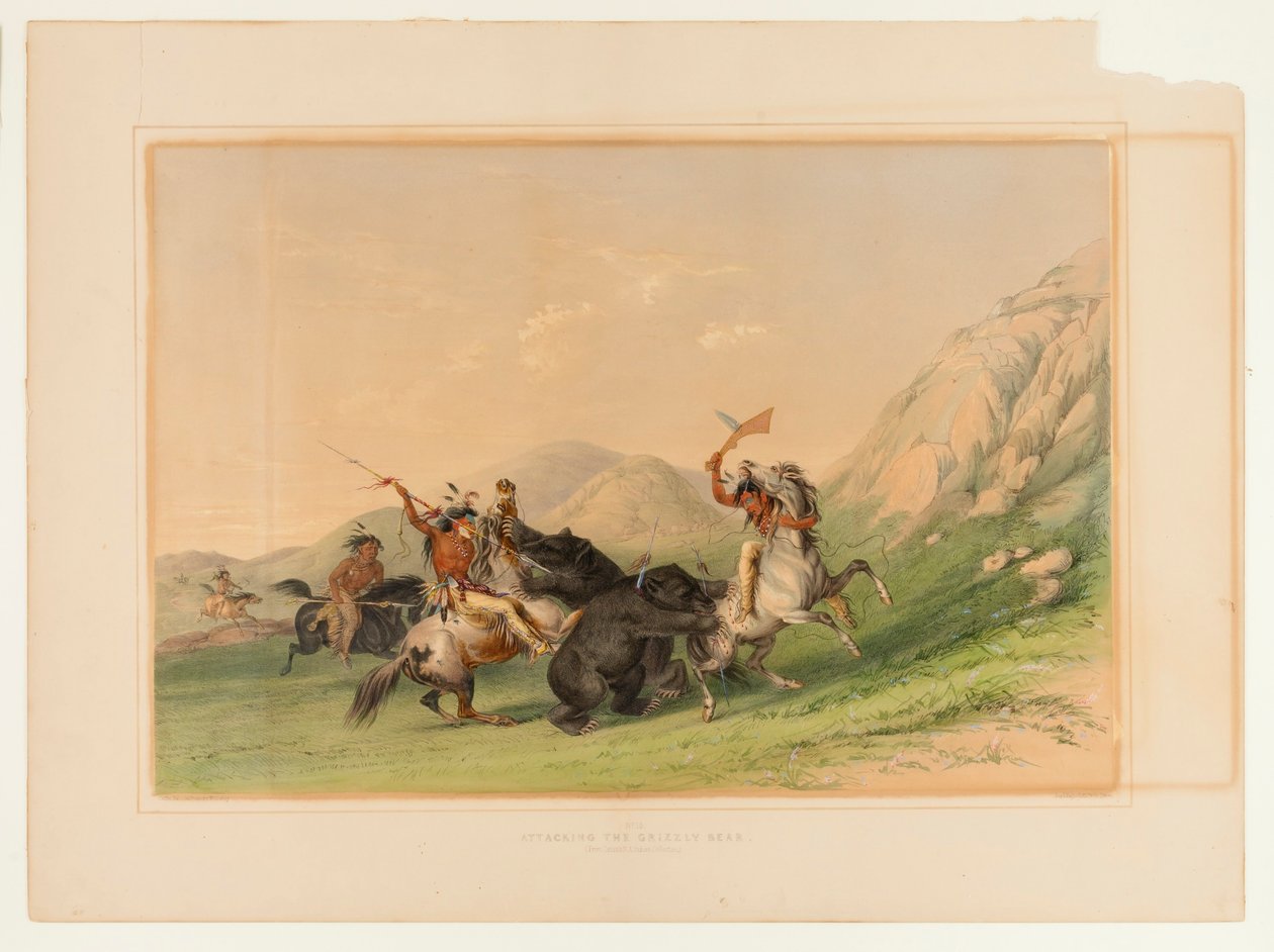 Angriff auf den Grizzlybär - Nr. 19 von George Catlin