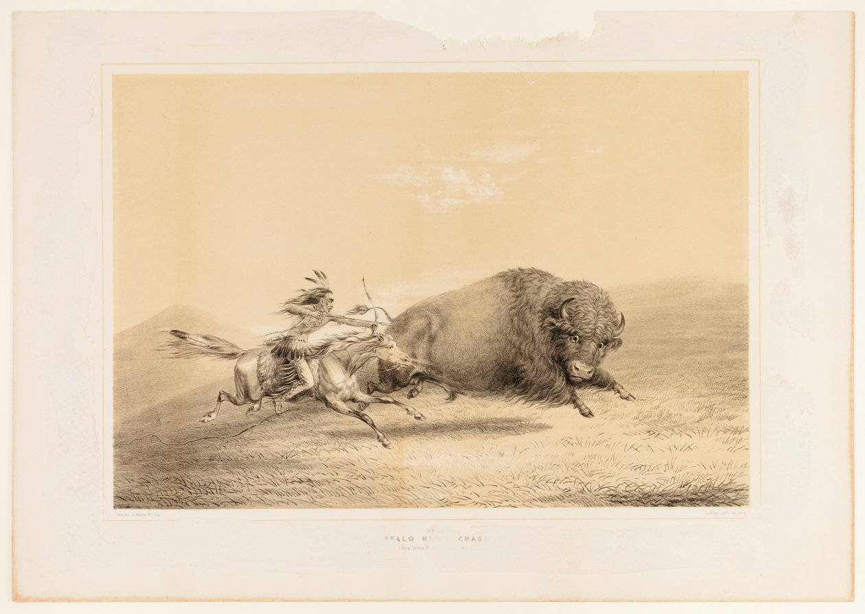Büffeljagd, Verfolgung--Nr. 5 von George Catlin