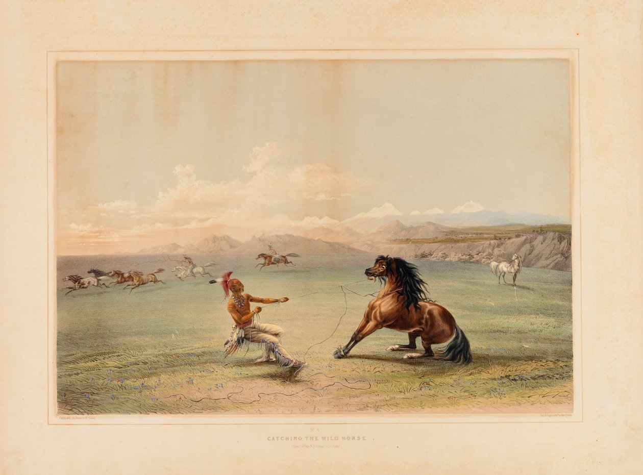 Das wilde Pferd fangen--Nr. 4 von George Catlin
