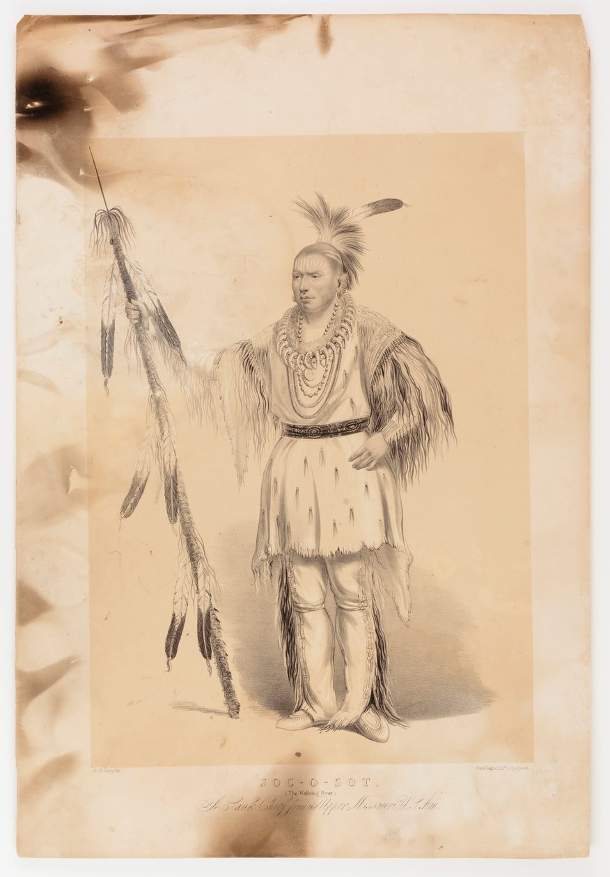 Joc-o-sot, der wandelnde Bär von George Catlin