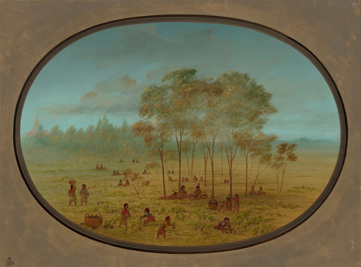 Kiowa-Indianer sammeln wilde Trauben von George Catlin