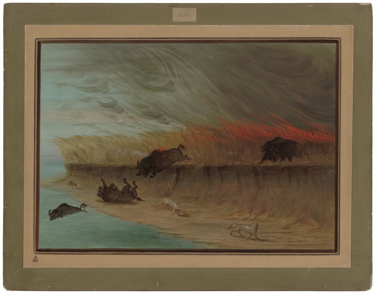Brennende Präriewiesen von George Catlin