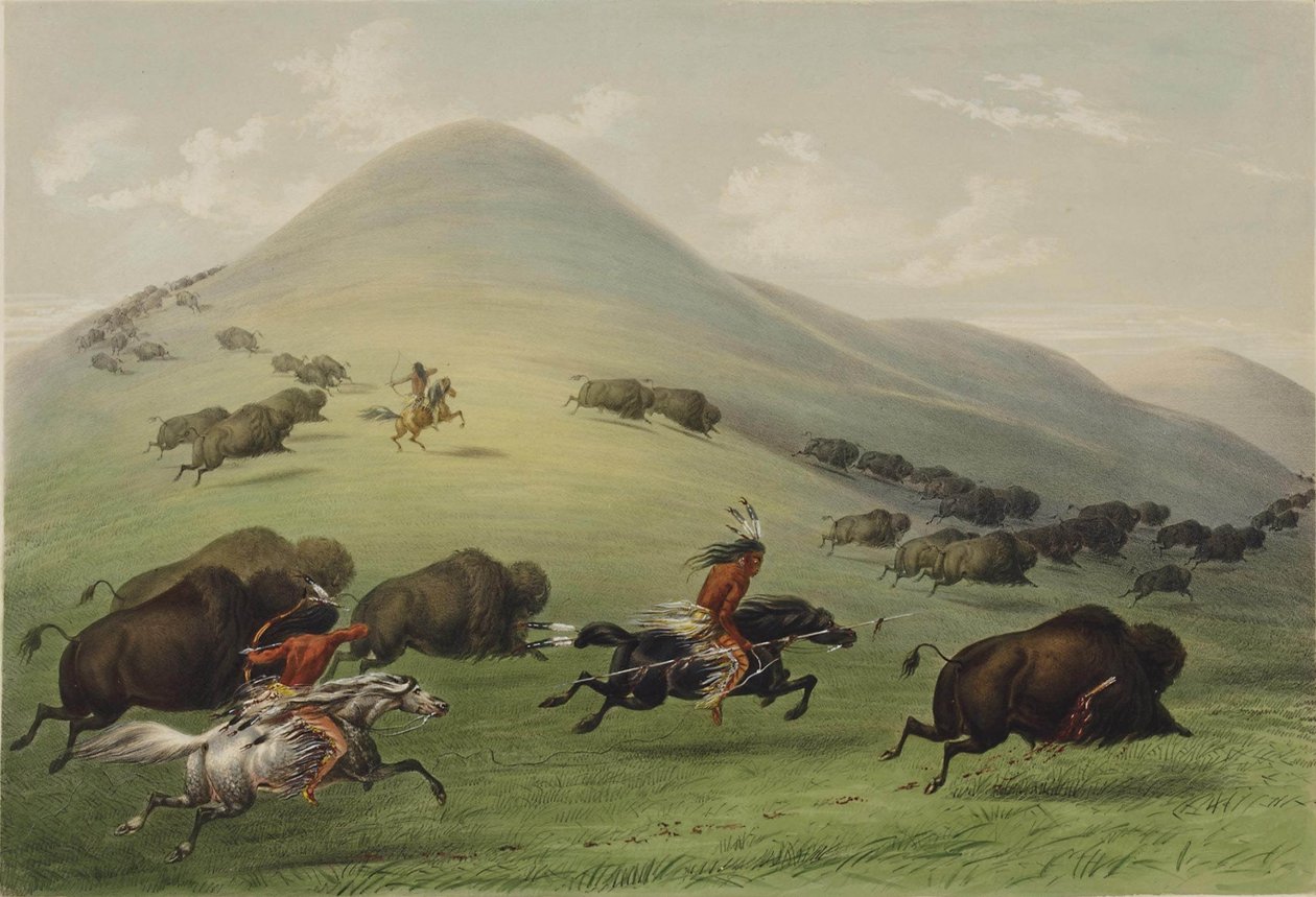 Die Büffeljagd von George Catlin